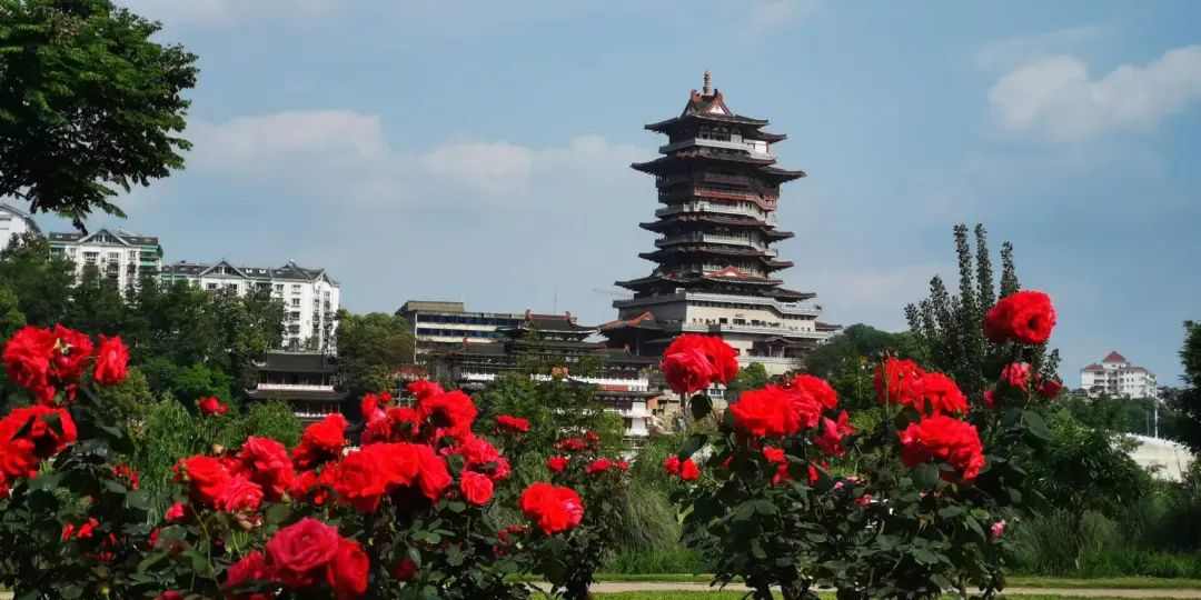 秘境之约—蜀地文旅叁城记(图18)