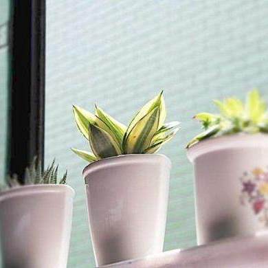 八大家居装饰技巧，拥有属于自己的一片天地~