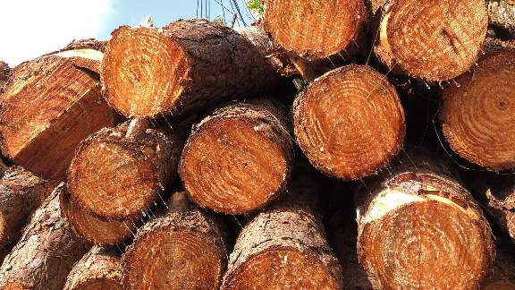 装修小白必看！不可忽略的板材问题