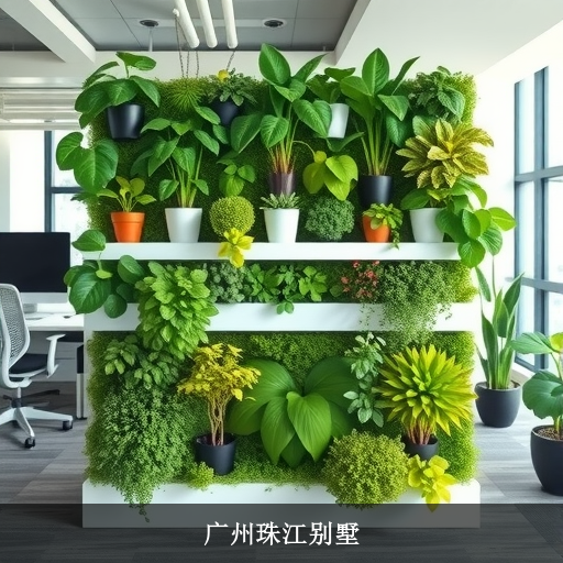 广州珠江别墅