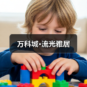 万科城·流光雅居