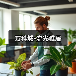 万科城·流光雅居