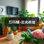 万科城·流光雅居