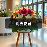 海天花园