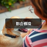 都会雅境