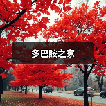 多巴胺之家