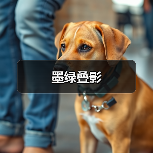 墨绿叠影