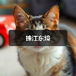 珠江东境