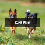 简雅筑境