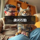 康河石韵（图4）