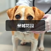 景城花园（图3）