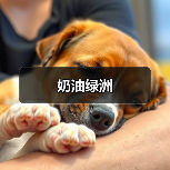 奶油绿洲（图4）