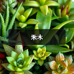禾木