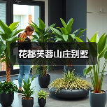 花都芙蓉山庄别墅（图2）
