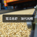 南湾首府 - 现代风格（图2）