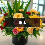 禾木（图3）