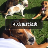 140方现代轻奢（图4）