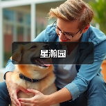 星瀚园（图2）
