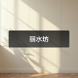 丽水坊（图2）
