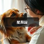 星瀚园（图4）