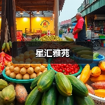 星汇雅苑