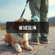 金域蓝湾（图2）