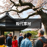 现代家居（图3）