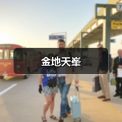 金地天峯（图4）