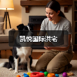 凯悦国际洪宅（图4）