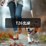 T26北岸