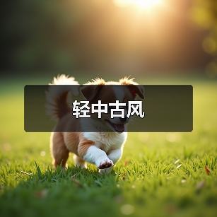 轻中古风（图3）