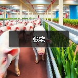 张宅（图2）