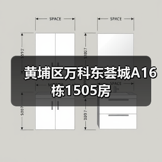 黄埔区万科东荟城A16栋1505房（图3）
