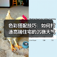 色彩搭配技巧：如何打造高端住宅的沉稳大气空间（图3）