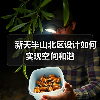 新天半山北区设计如何实现空间和谐（图2）