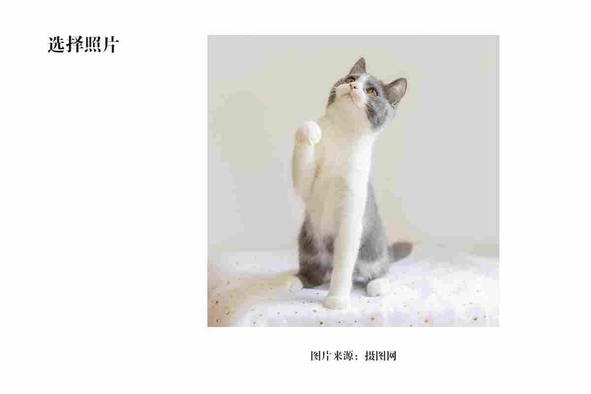 插画图片，AI+PS鼠绘可爱的招财猫插画Banner图片